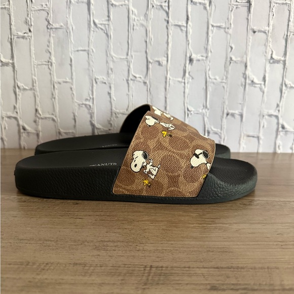 Man’s size 8 Coach X Peanuts Pool Slide In Signature Canvas With Snoopy Print - Picture 1 of 8